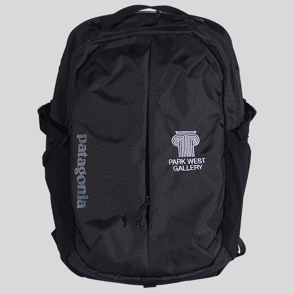 Patagonia Refugio Daypack Backpack 26L